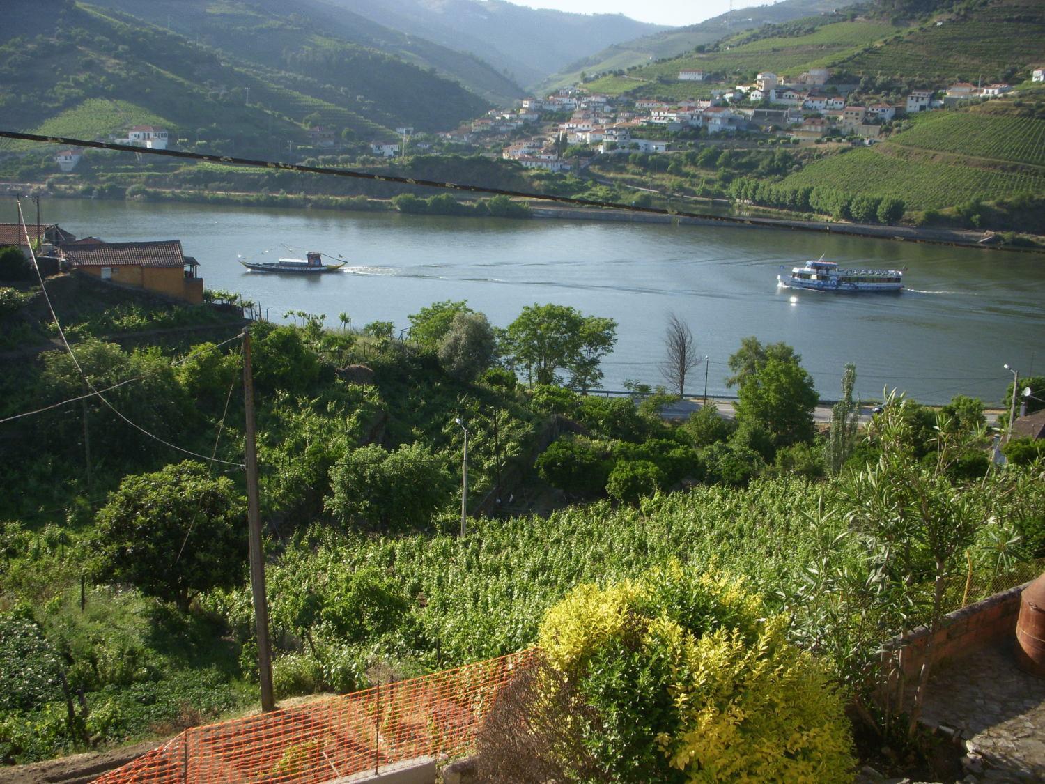 Quinta Da Azenha Hotel Folgosa  Bagian luar foto