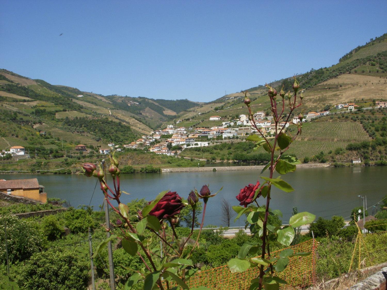 Quinta Da Azenha Hotel Folgosa  Bagian luar foto