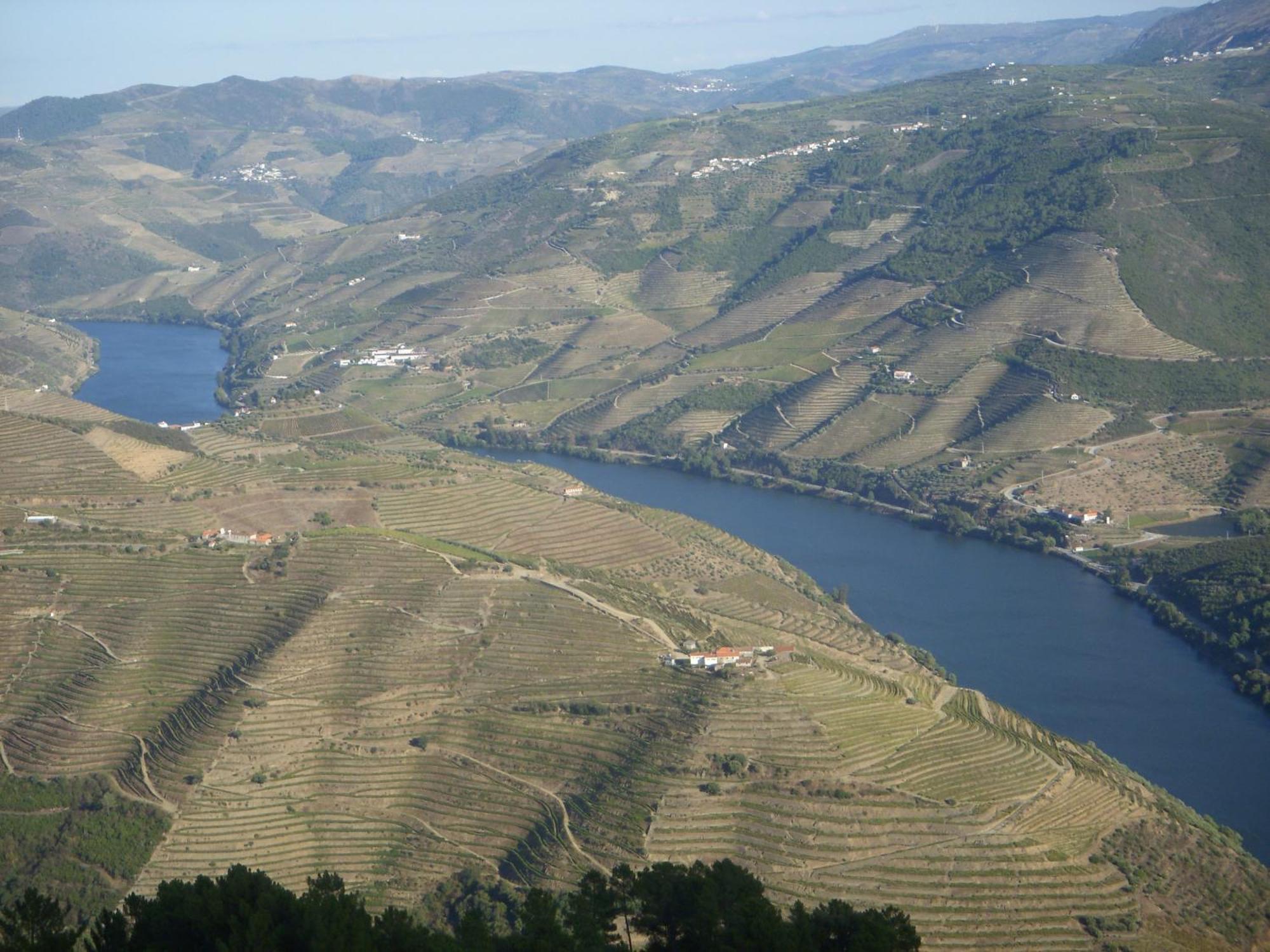 Quinta Da Azenha Hotel Folgosa  Bagian luar foto